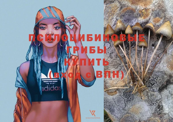 ECSTASY Балабаново