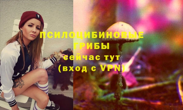 2c-b Балахна
